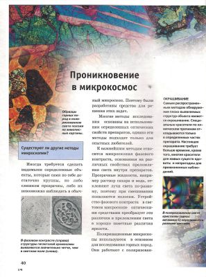 Микроскоп. Детская энциклопедия Levenhuk (Левенгук)